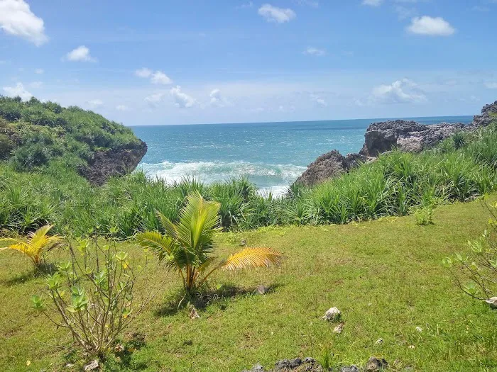 Ridhok View & Campground 8