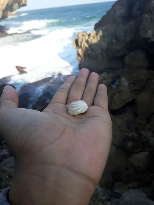 Ridhok View & Campground 3