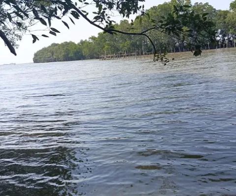 Sungai Bone Tanjore