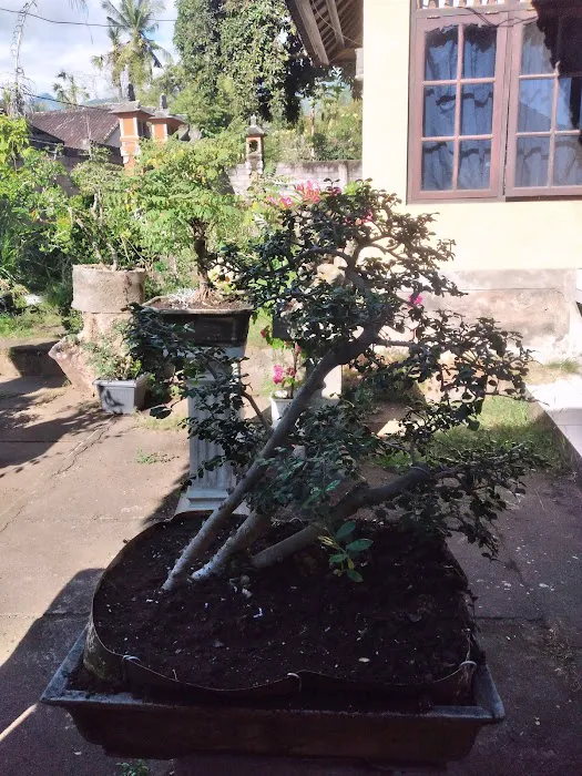 Pondok jana 2