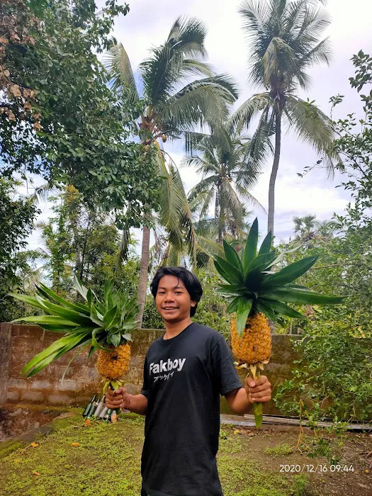 Pondok tutagus 3