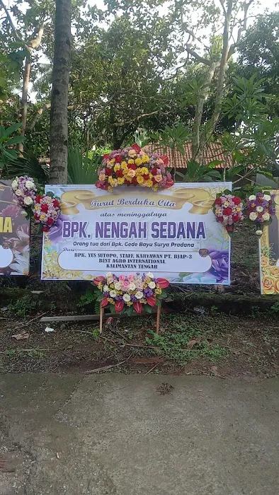 Demplot Sayur Desa Tembok 0