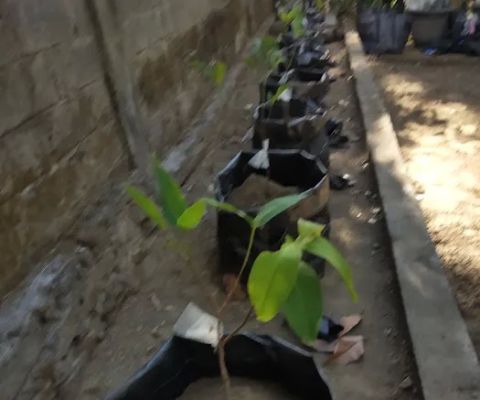 PONDOK SANDAL JEPIT