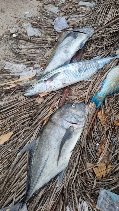 Udi's Spearfishing 8