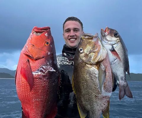 Udi's Spearfishing