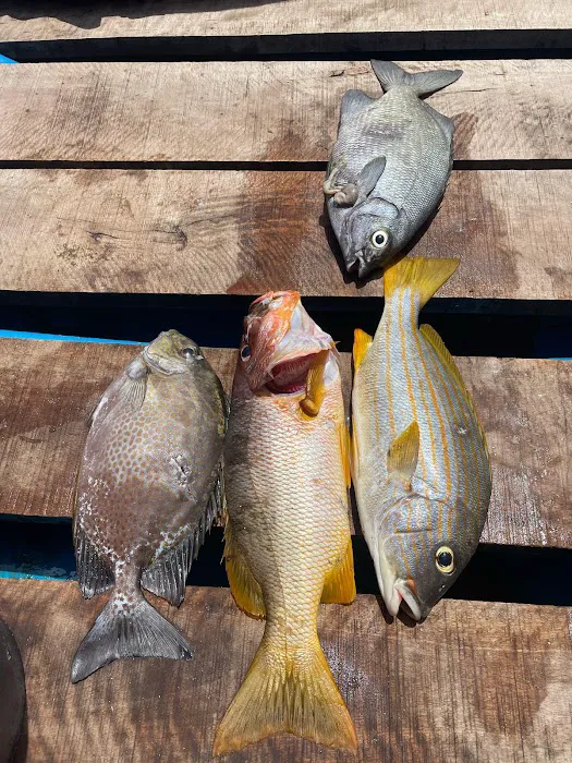 Udi's Spearfishing 9