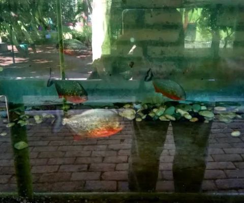 Taman Wisata Studi Lingkungan