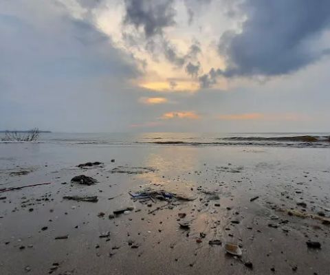 Taman Edukasi Tegalsambi