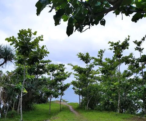 Bukit Sunset