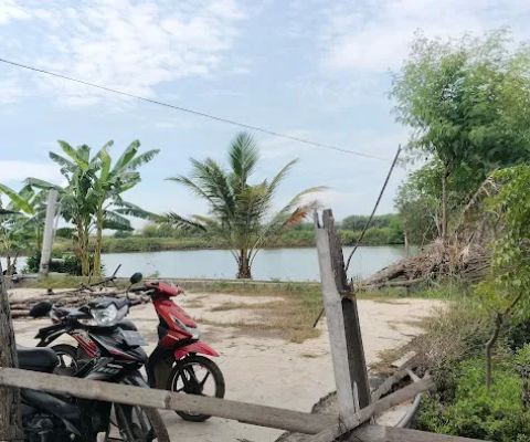 Kolam Pemancingan Pak UNTUNG