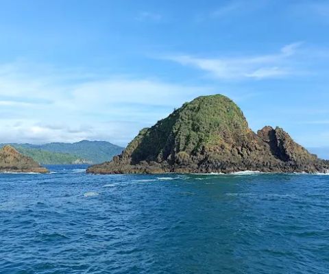 Pulau burung