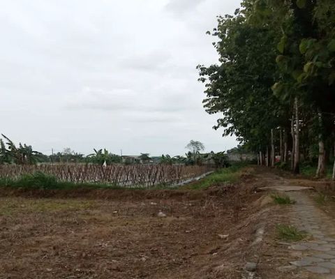 Sanimas