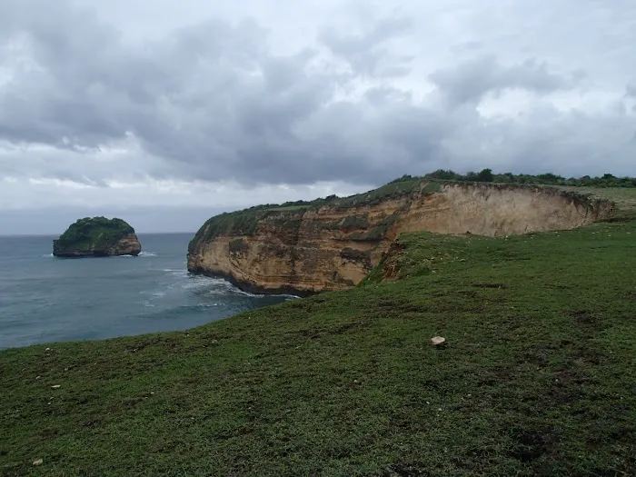 Gili cine 4