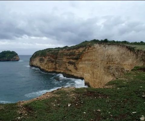Gili cine