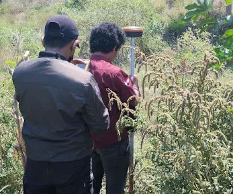 Tanah sekaroh