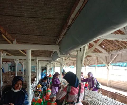 Kelinci pak Jenggu'