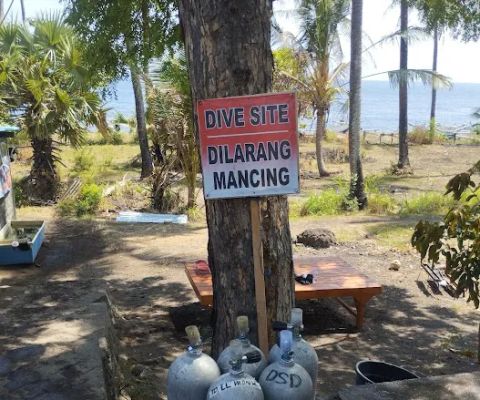 Batu Ringgit Dive Site