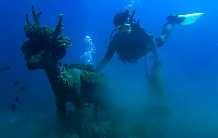 Kalanganyar Coral Reef Restoration Project 4
