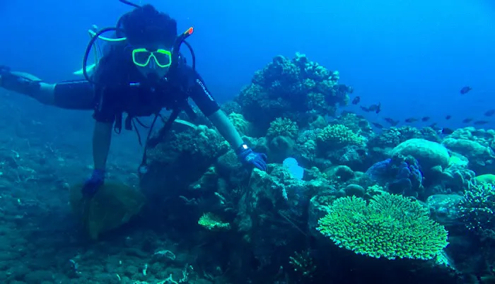 Kalanganyar Coral Reef Restoration Project 7