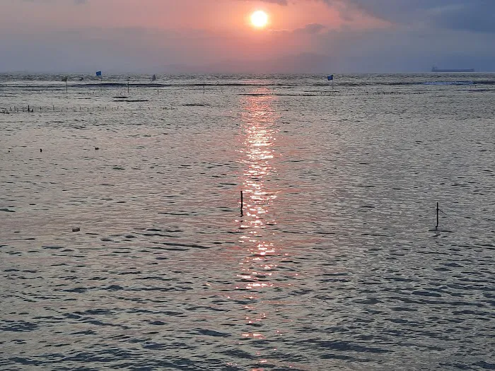 Seaweed Farm 5