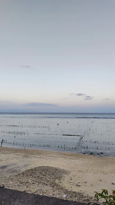 Seaweed Farm 0