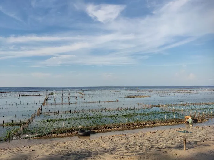 Seaweed Farm 8