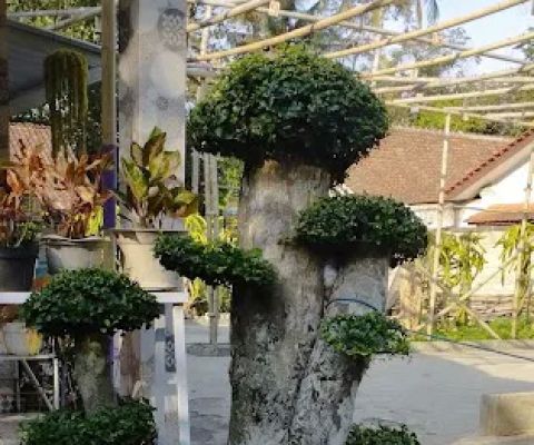 Serut Taman