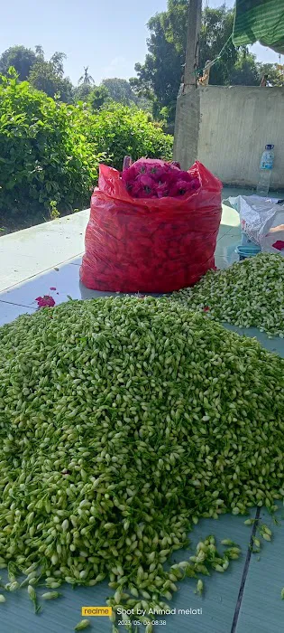 Kebun Melati Abang Ahmad 1