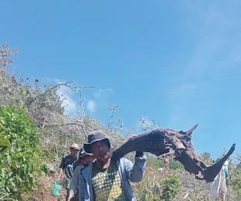 Pondok derite