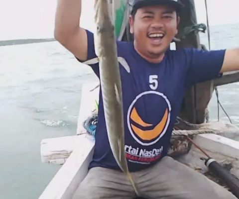 Rumah Ikan Kerapu