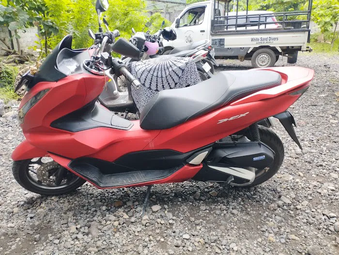 Amed Bali tours & scooter rental 6