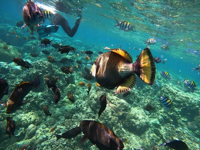 Amed bali Basir snorkeling trip 9