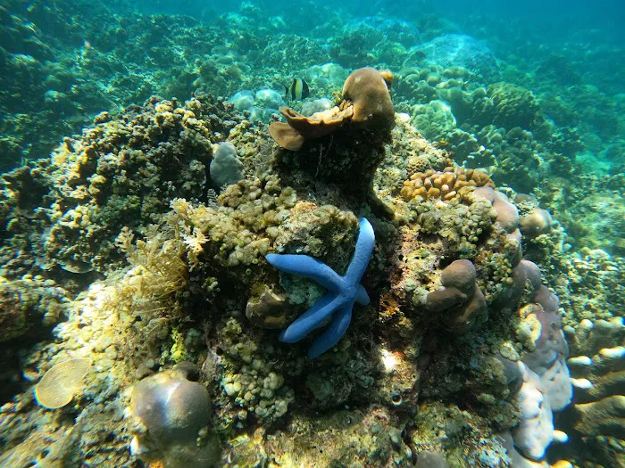 Amed bali Basir snorkeling trip 8