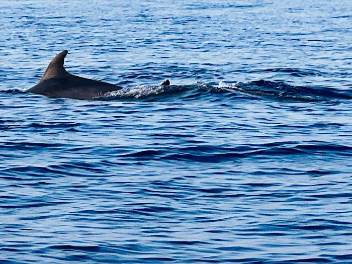 Amed Blessing sunrise snorkeling trip 7