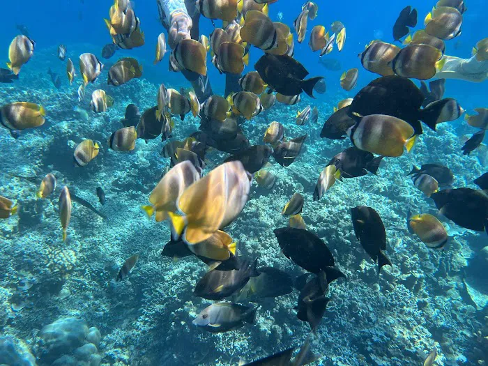 Amed snorkeling center 1