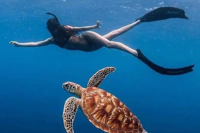 Amed snorkeling center 8