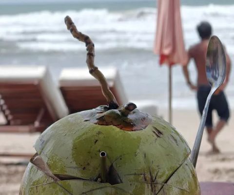 Surf Rent Lessons