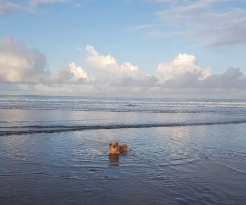 Locky's Beach