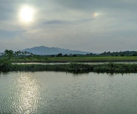 Bendungan Tanjungan