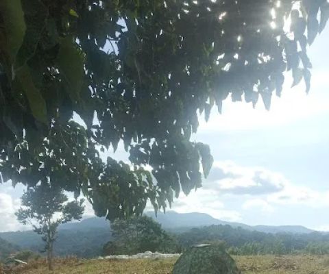 Ladang randi