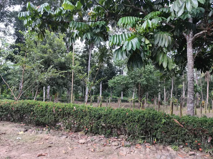 Taman Nasional Meru Betiri, Sukamade 7