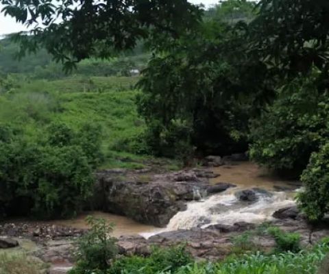 Kali gede kemloso