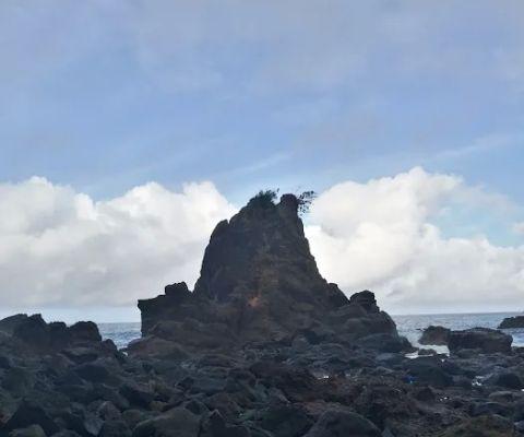 Watu Godzilla