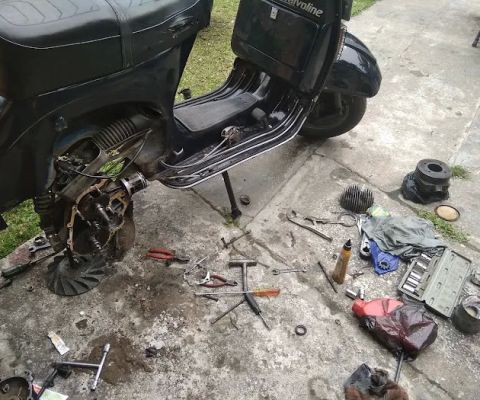 Pokok pelam vespa