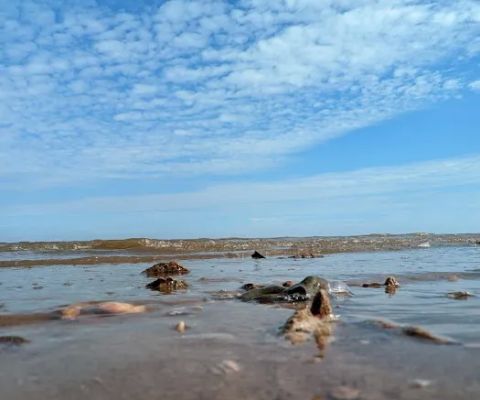 Pantai Pratiwi