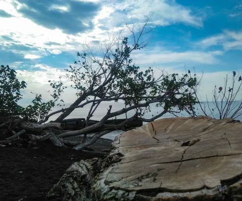 Taman Wisata Pantai Happy Tukadmungga