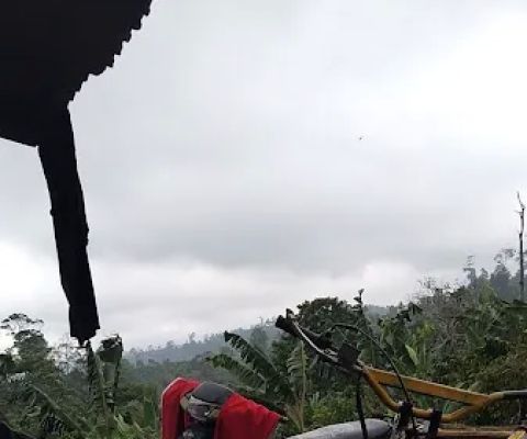 Kebun Pak Saimun