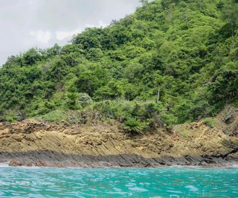 Pantai Pakisan