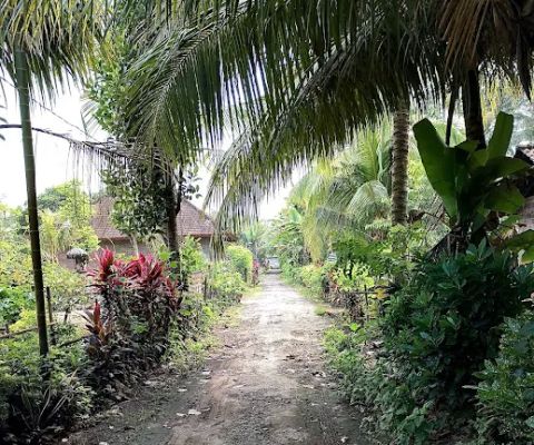 Gang Arjuna pangkung dedari