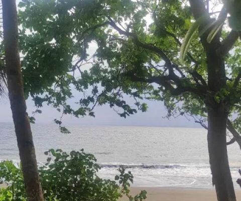 Prj coconut land